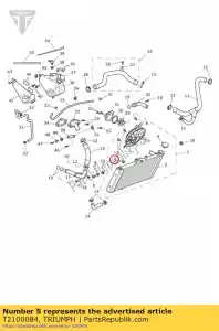 Triumph T2100084 screw, bleed, nylon - Bottom side