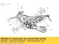 893847, Piaggio Group, decalcomania dx-sx 