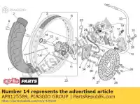 AP8125589, Piaggio Group, Uszczelnienie olejowe aprilia tuareg rally  mx wind rx ae 125 eng 122cc supermotard 104 105 109 , Nowy