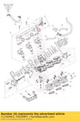 Ici, vous pouvez commander le clip, injecteur auprès de Triumph , avec le numéro de pièce T1240495: