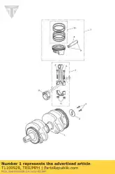 krukas assy van Triumph, met onderdeel nummer T1100928, bestel je hier online: