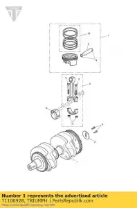 triumph T1100928 krukas assy - Onderkant