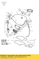 T2400597, Triumph, type à vis du bouchon de remplissage de carburant triumph adventurer > 71698 adventurer 71699 > bonneville & bonneville t100 carbs bonneville & bonneville t100 efi bonneville efi > 380776 bonneville from vin 380777 & se bonneville from vin 380777/ se bonneville t100 efi legend tt roc, Nouveau