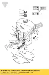 Here you can order the label, fuel tank diag, unfrd from Triumph, with part number T3900194: