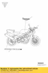 Here you can order the decal from Triumph, with part number T2305736: