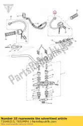 Aquí puede pedir encienda las luces del conjunto a la izquierda de Triumph , con el número de pieza T2049210: