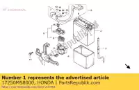 17250MS8000, Honda, Banda, batteria honda xrv xl xlv 650 600, Nuovo