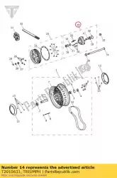 Here you can order the pulley carrier assy from Triumph, with part number T2010631: