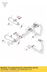 Here you can order the flanged sleeve m8 x 12. 8 x 17. 2 from Triumph, with part number T3010096: