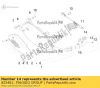 825481, Piaggio Group, slangklem     , Nieuw