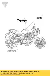 Here you can order the decal, side, rear, lh from Triumph, with part number T2304289: