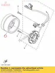 Here you can order the rotor assy from Yamaha, with part number 1C6H145000: