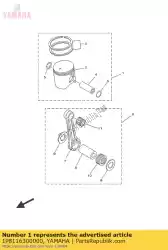 Here you can order the piston assy (std) from Yamaha, with part number 1P8116300000: