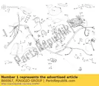 866067, Piaggio Group, faisceau de câblage principal derbi gpr 50 2009 2010 2013, Nouveau