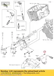 Here you can order the bolt-socket from Kawasaki, with part number 120CA0514: