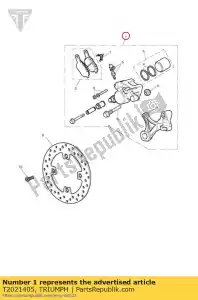 triumph T2021405 pinza, trasera, dorada - Lado inferior