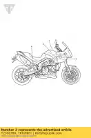 T2306786, Triumph, autocollant côté réservoir de carburant triumph daytona 675 up to vin 381274 tiger 1050 675 1050 2006 2007 2008 2009 2010 2011 2012 2013 2014 2015 2016, Nouveau