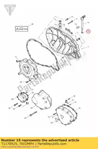 triumph T1170925 retorno de primavera - Lado inferior