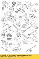 Here you can order the camshaft timing tensioner from Triumph, with part number T3880607: