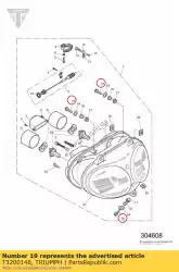 bout, m6x30, zilver van Triumph, met onderdeel nummer T3200148, bestel je hier online: