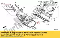 12391MGE000, Honda, junta, fr. cabeça de cilindro honda vfr  f crosstourer x dtc fd xd dct vfr1200fa vfr1200fda vfr1200f vfr1200fd vfr1200x vfr1200xd vfr1200xa 1200 , Novo