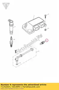 triumph T1292004 sensor, luchttemperatuur - Onderkant