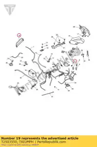 triumph T2503550 sangle, batterie - La partie au fond