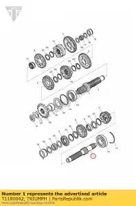 triumph T1180042 shaft input & 1st gear - Bottom side