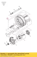 T2015265, Triumph, wheel rear 15 x 3.50 triumph america carbs america efi 790 865 2002 2003 2004 2005 2006 2007 2008 2009 2010 2011 2012 2013 2014, New