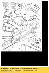 Here you can order the fork rod tool from Triumph, with part number 3880085T0301: