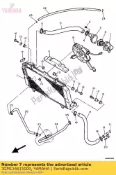 Here you can order the radiator assy from Yamaha, with part number 3GM124615000: