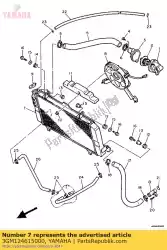 Qui puoi ordinare radiatore assy da Yamaha , con numero parte 3GM124615000: