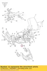 Aquí puede pedir panel de mentón de moldura de Triumph , con el número de pieza T2303315: