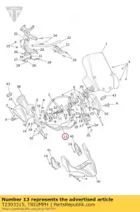 triumph T2303315 panel de mentón de moldura - Lado inferior