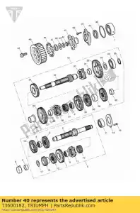 triumph T3600182 tenuta in senso orario 45 x 55 x 7 olio - Il fondo