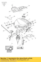 T2405930JV, Triumph, t2405930-jv brandstoftank onderdelen montage triumph street triple from vin 560477 675 2013 2014 2015 2016, Nieuw