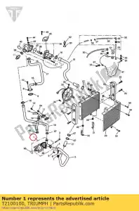 triumph T2100100 conjunto de bomba de agua - Lado inferior