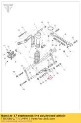 Here you can order the bearing, needle roller, 202620 from Triumph, with part number T3800060: