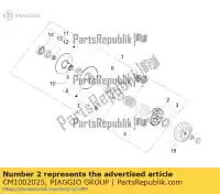 CM1002025, Piaggio Group, Gruppo frizione centrifuga     , Nuovo