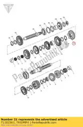 Here you can order the gear output sixth 28t from Triumph, with part number T1181567: