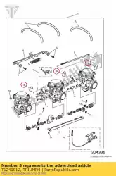 Here you can order the cap vacuum connection from Triumph, with part number T1241012: