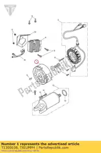 triumph T1300038 alternador, rotor - Lado inferior