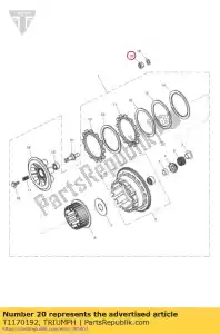 triumph T1170192 nut, clutch, m22 - Bottom side