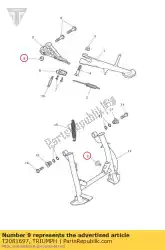 Aqui você pode pedir o para cima, parar no descanso lateral em Triumph , com o número da peça T2081697: