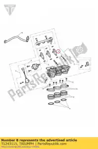 triumph T1243115 gasbalancer assy - Onderkant