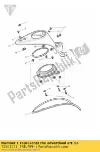 triumph T2501531 instrumento assy kph - Lado inferior