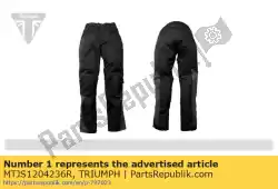 Aqui você pode pedir o acton 2 jeans 36r em Triumph , com o número da peça MTJS1204236R: