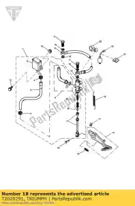 triumph T2020291 veer, remschakelaar retour - Onderkant