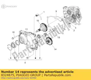 Piaggio Group 8324875 albero di trasmissione - Il fondo