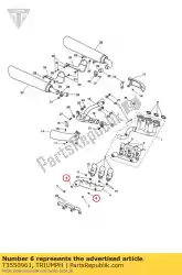 Qui puoi ordinare rondella m6 da Triumph , con numero parte T3550961: